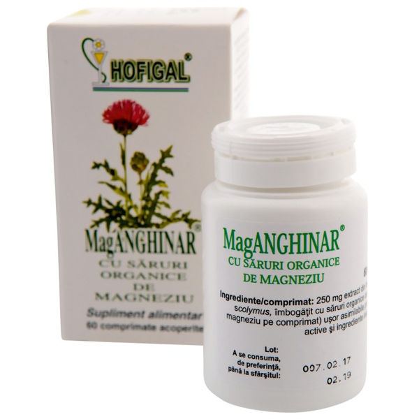 Supliment Alimentar MagAnghinar, 60 comprimate - Hofigal