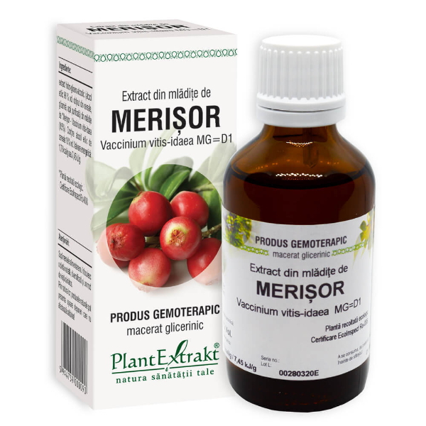 Extract din mladite de merisor, 50 ml - PlantExtrakt