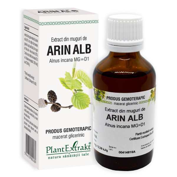 Extract din muguri de arin alb, 50 ml - PlantExtrakt
