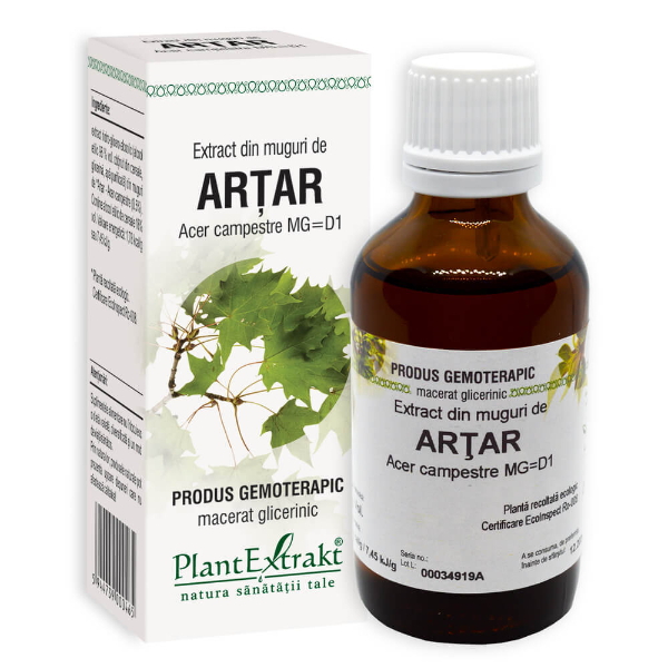 Extract din muguri de artar, 50 ml - PlantExtrakt