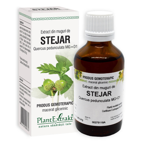Extract din muguri de stejar, 50 ml - PlantExtrakt