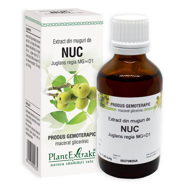 Extract din muguri de nuc - Juglans regia, 50 ml - PlantExtrakt