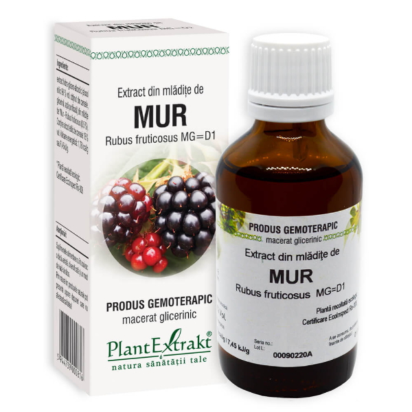 Extract din mladite de mur - Rubus fructicosus, 50 ml - PlantExtrakt