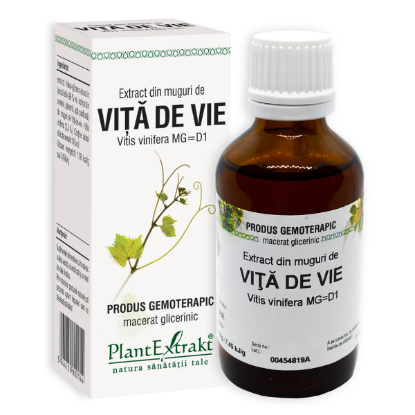 Extract din muguri de vita de vie - Vitis vinifera, 50 ml - PlantExtrakt