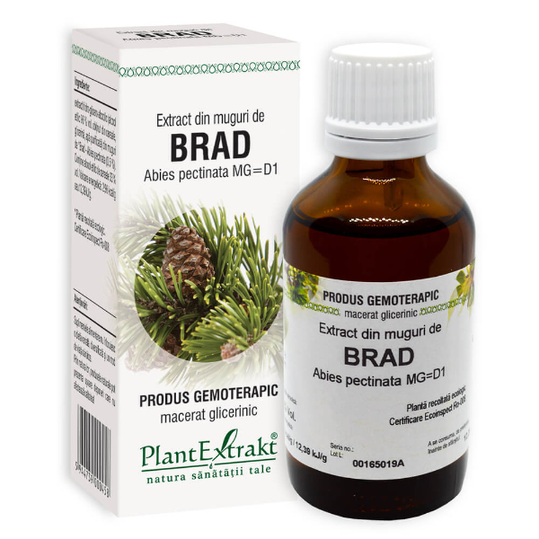 Extract din muguri de brad - Abies pectinata, 50 ml - PlantExtrakt
