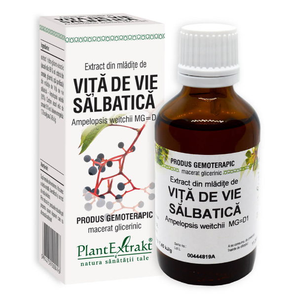 Extract din mladite de vita de vie salbatica, 50 ml - PlantExtrakt