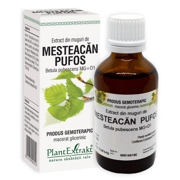 Extract din muguri de mesteacan pufos, 50 ml - PlantExtrakt