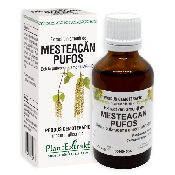 Extract din amenti de mesteacan pufos, 50 ml - PlantExtrakt