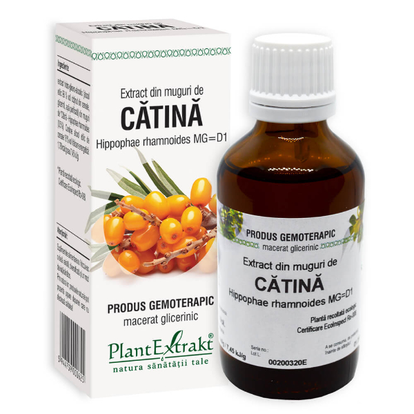Extract din muguri de catina, 50 ml - PlantExtrakt