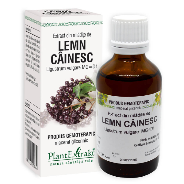 Extract din mladite de lemn cainesc, 50 ml - PlantExtrakt