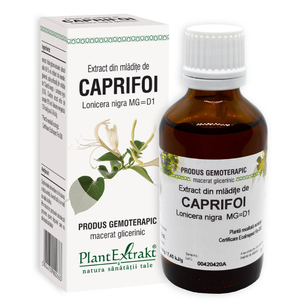 Extract din mladite de caprifoi, 50 ml - PlantExtrakt