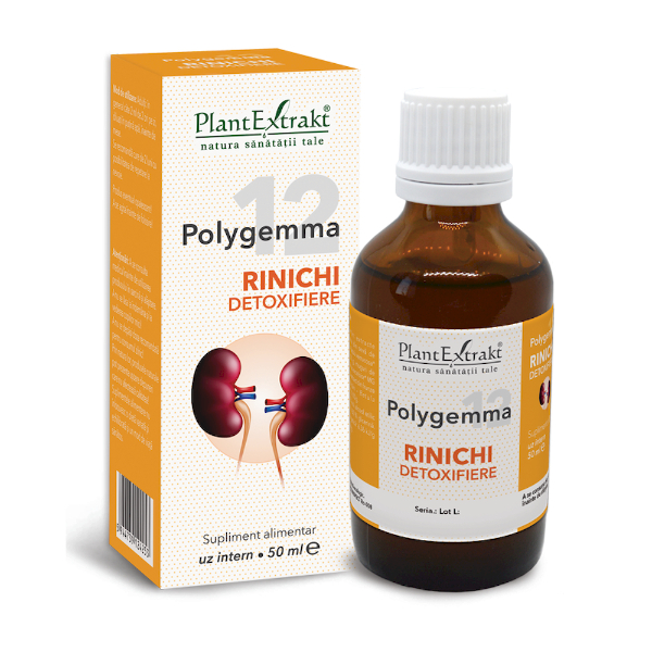 Polygemma nr. 12 - Rinichi detoxifiere, 50 ml - PlantExtrakt