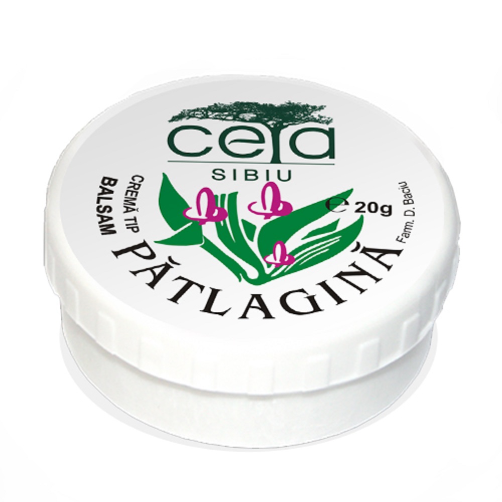 Unguent patlagina, 20 g - Ceta Sibiu